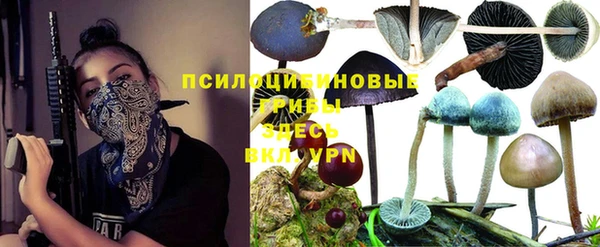 spice Алексин
